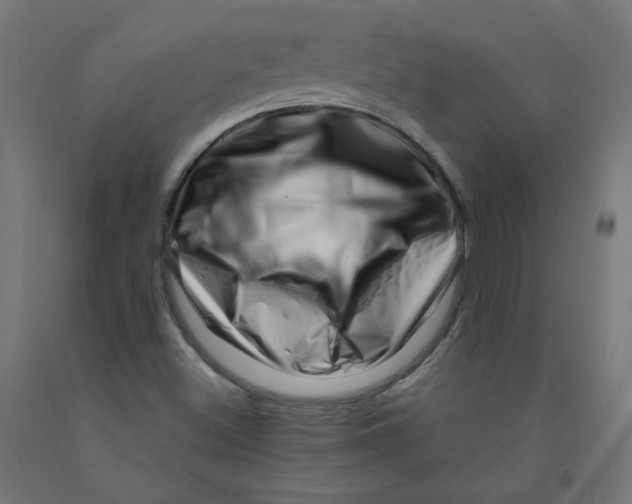 X0000090881500200708241930