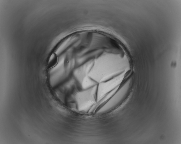 X0000090881501200708241930