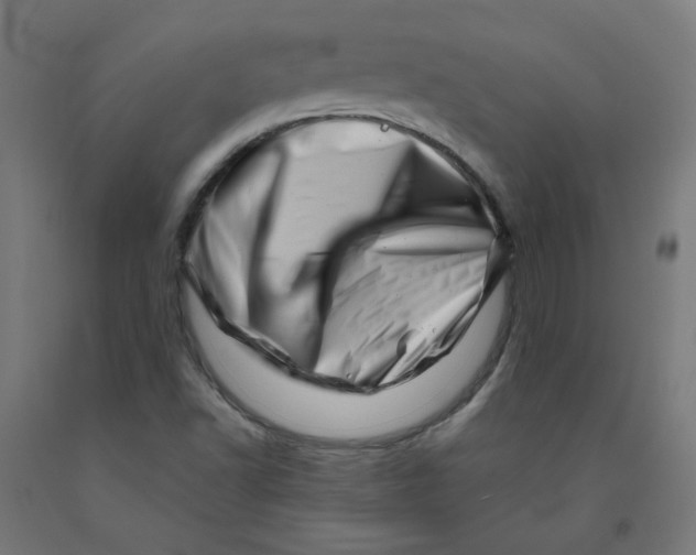 X0000090881502200708241930