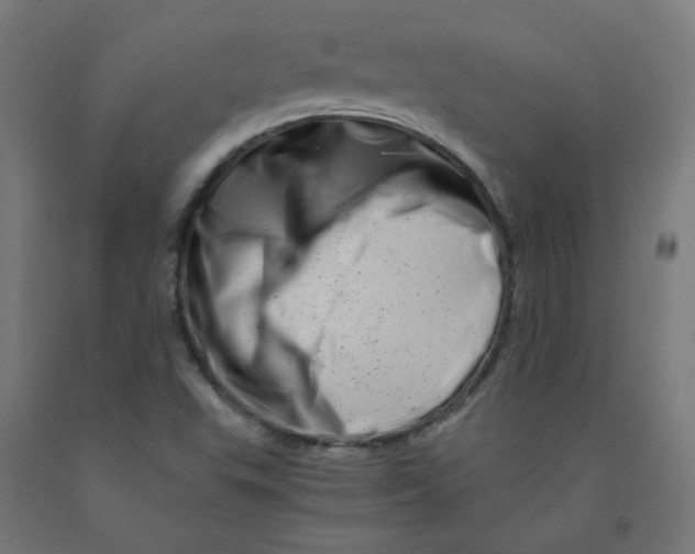 X0000090881503200708241930