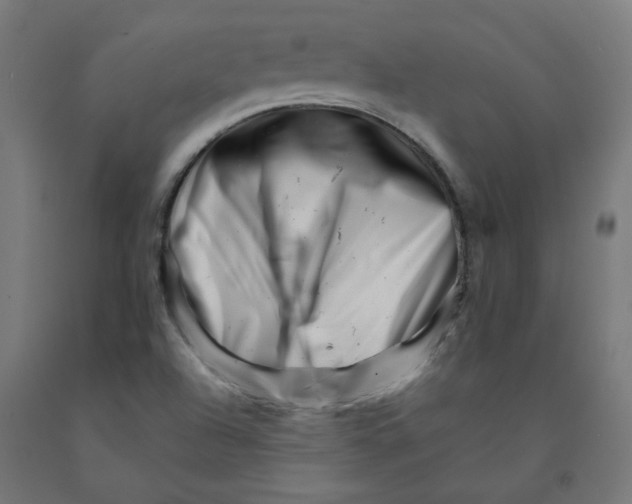 X0000090881504200708241930