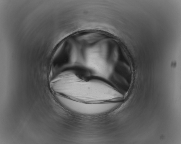 X0000090881505200708241930