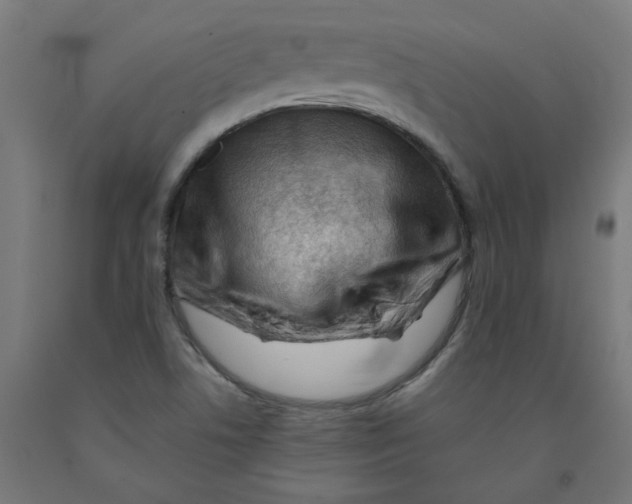 X0000090881506200708241930