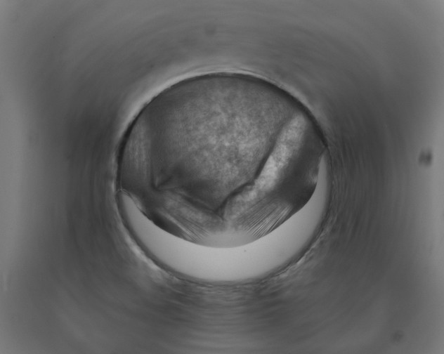 X0000090881508200708241930