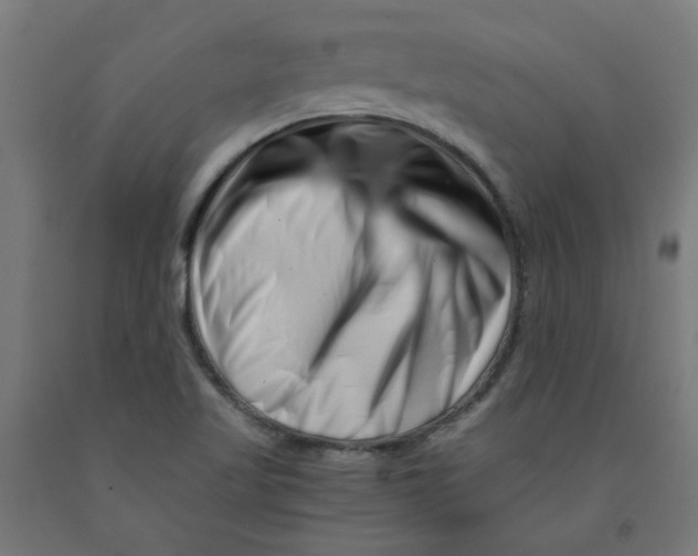 X0000090881509200708241930