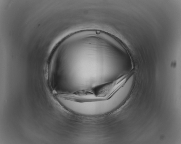 X0000090881510200708241930