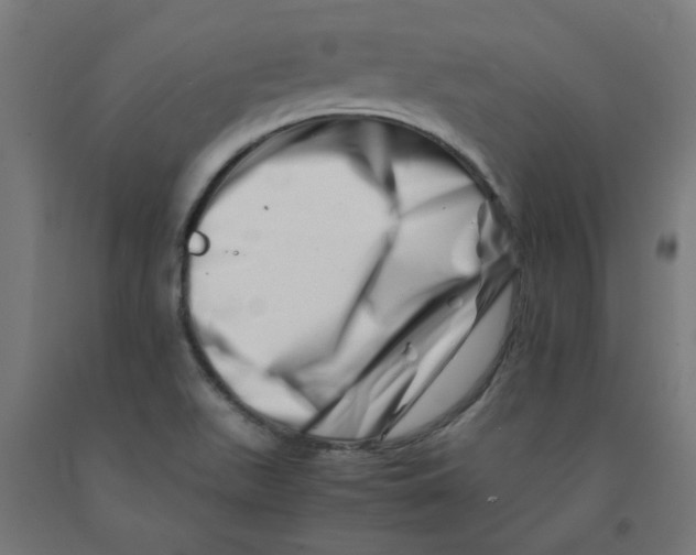 X0000090881511200708241930