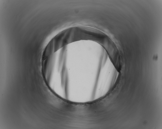 X0000090881512200708241930