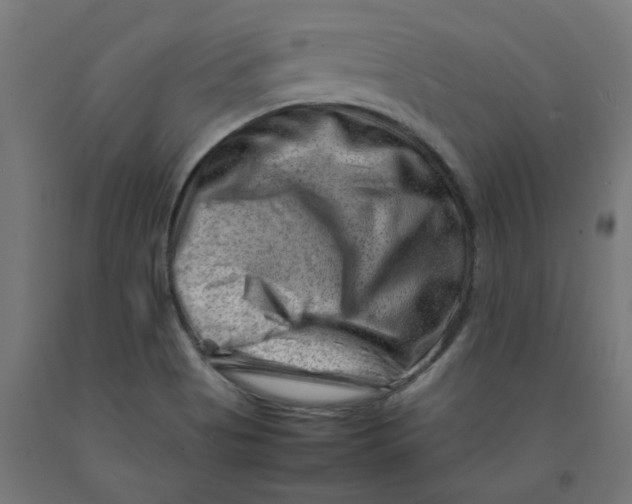 X0000090881513200708241930