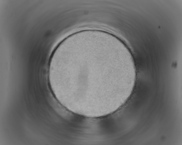 X0000090881514200708241930