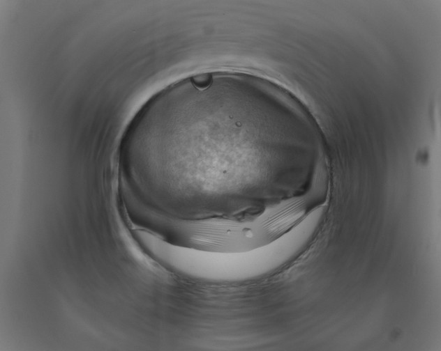 X0000090881515200708241930