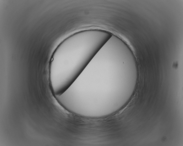 X0000090881516200708241930