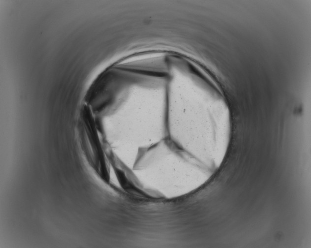 X0000090881518200708241930