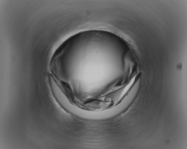 X0000090881520200708241930