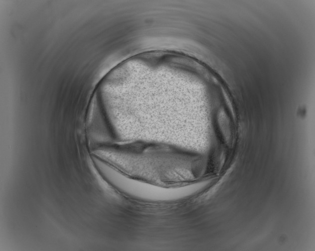 X0000090881521200708241930