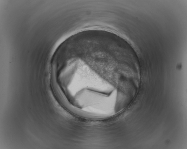 X0000090881522200708241930