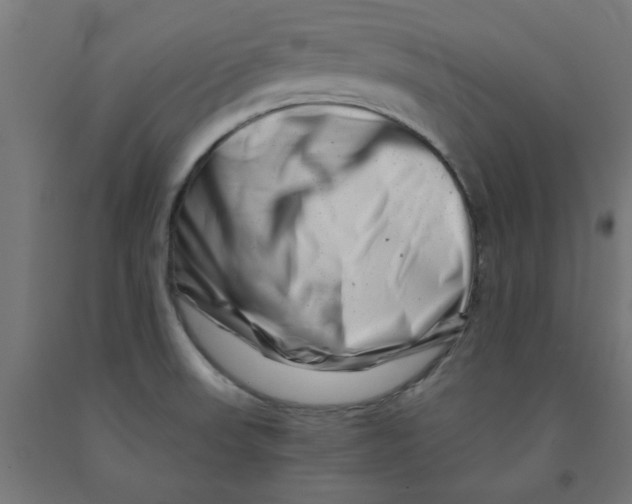 X0000090881523200708241930