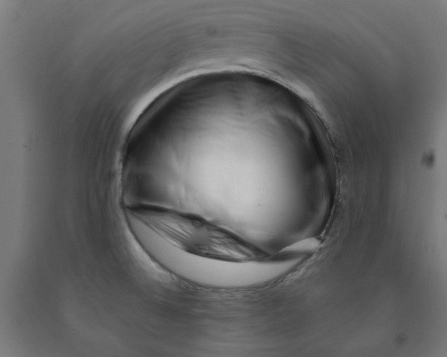 X0000090881524200708241930