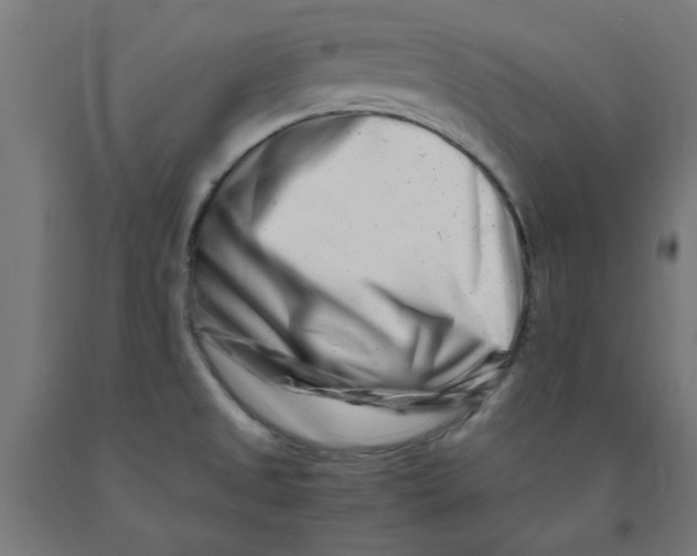 X0000090881525200708241930