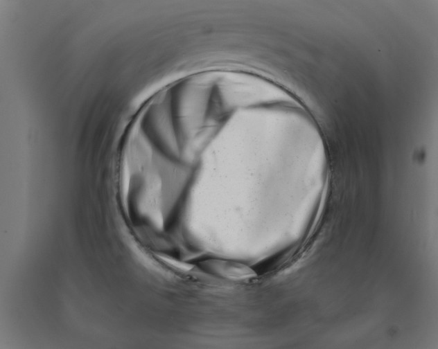 X0000090881526200708241930