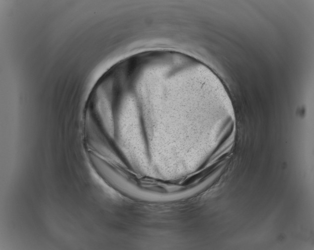 X0000090881527200708241930