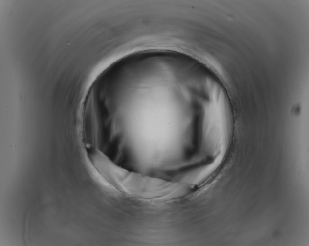 X0000090881528200708241930