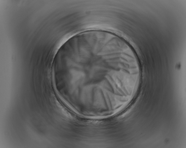 X0000090881529200708241930