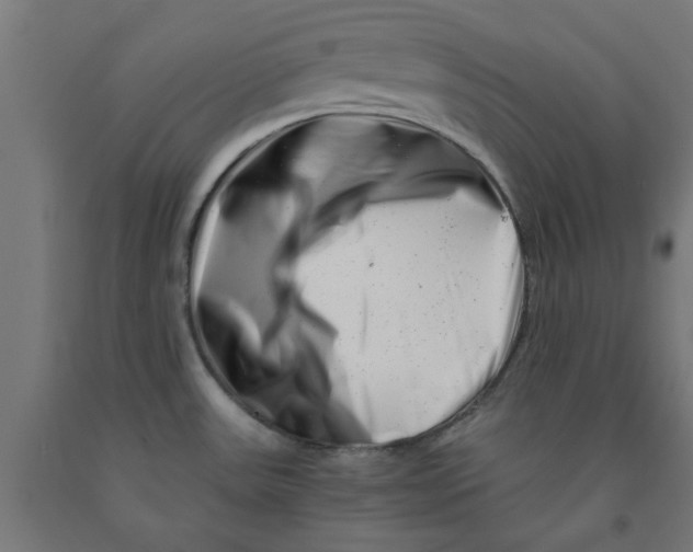 X0000090881531200708241930