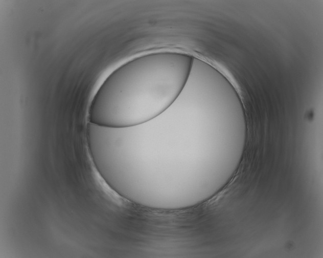 X0000090881532200708241930