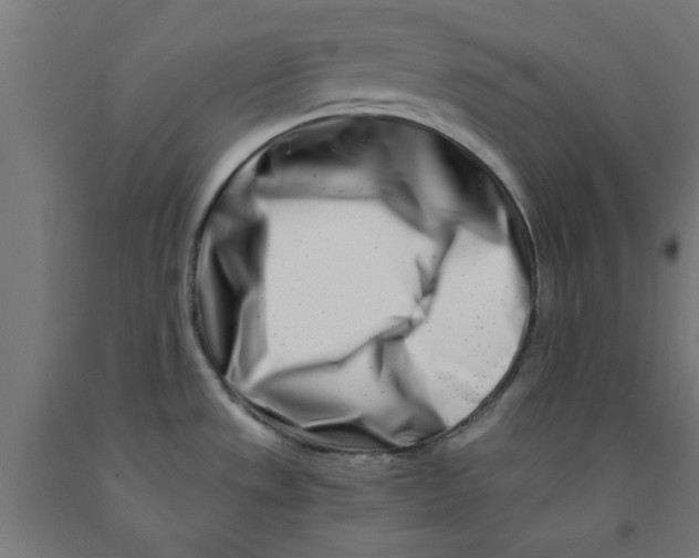 X0000090881533200708241930