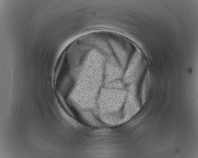 X0000090881535200708241930