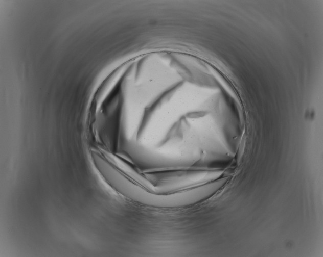 X0000090881536200708241930