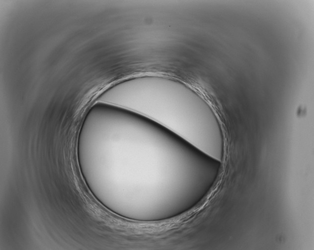 X0000090890001200707271048