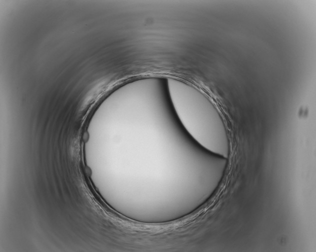 X0000090890002200707271048