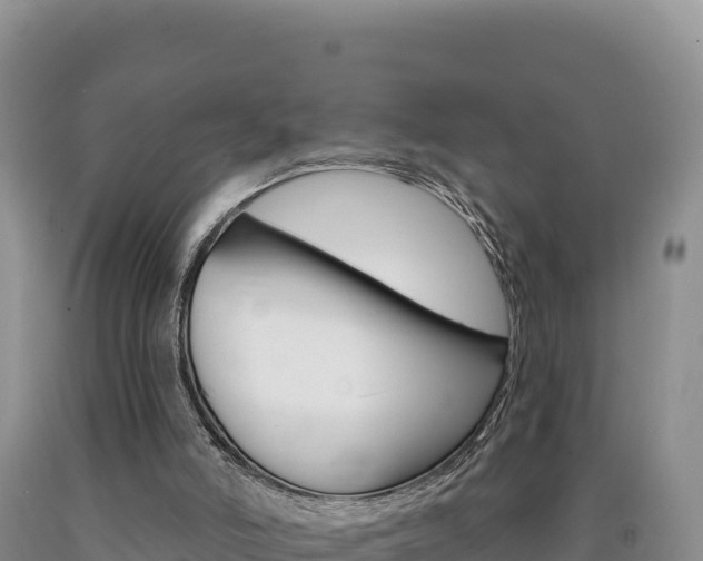 X0000090890006200707271048