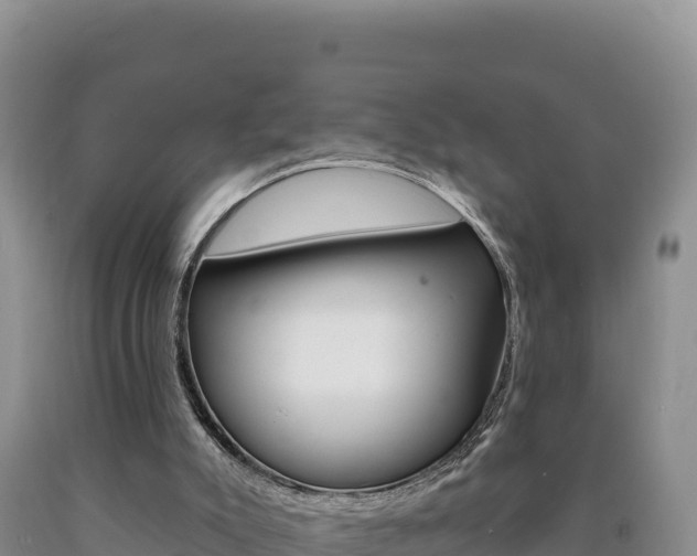 X0000090890007200707271048