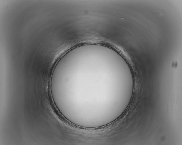 X0000090890010200707271048