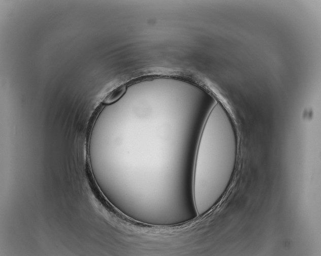 X0000090890011200707271048