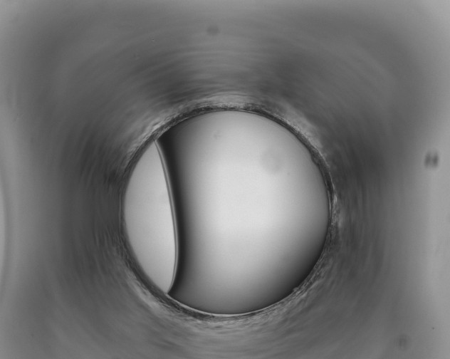 X0000090890013200707271048