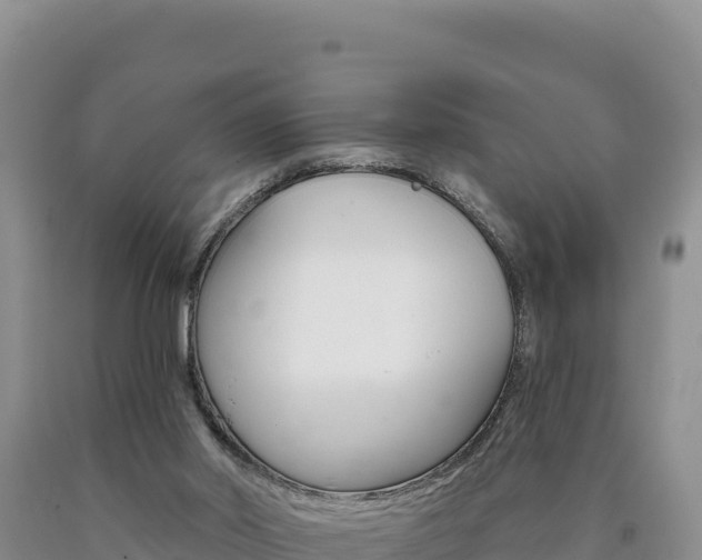 X0000090890014200707271048