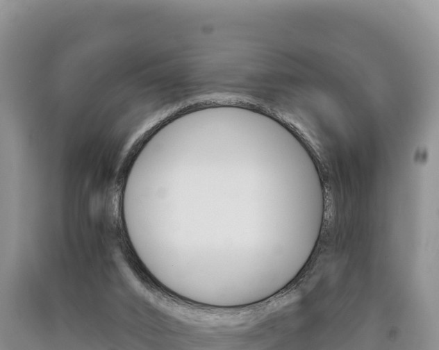 X0000090890016200707271048