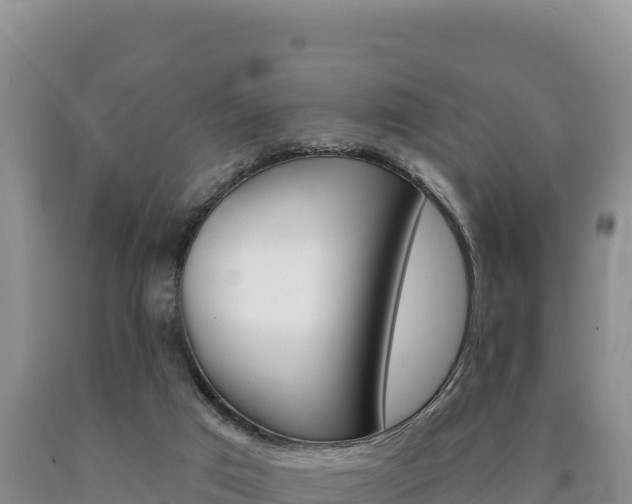 X0000090890017200707271048