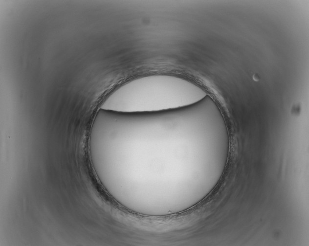X0000090890018200707271048