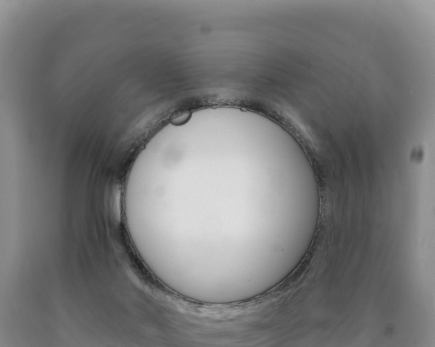 X0000090890022200707271048