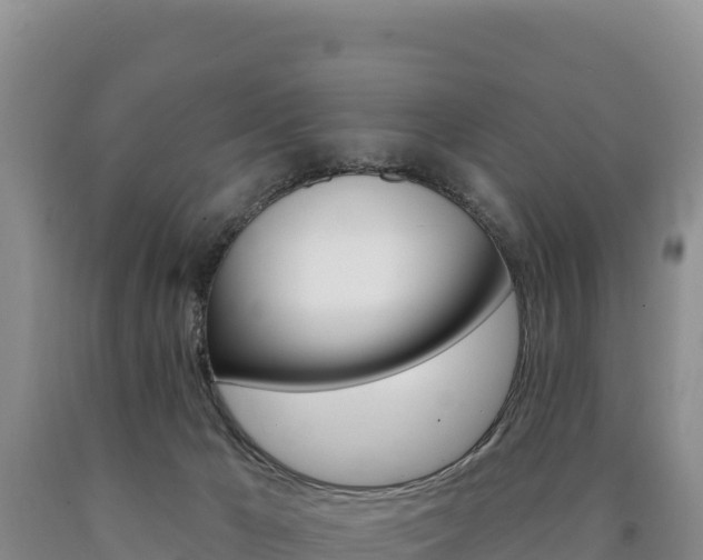X0000090890029200707271048