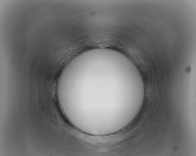 X0000090890030200707271048