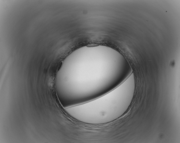 X0000090890033200707271048