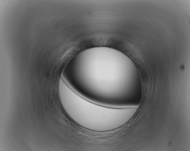 X0000090890035200707271048