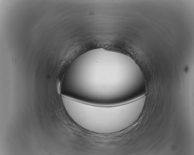 X0000090890041200707271048