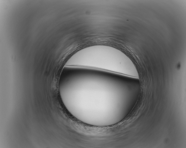 X0000090890044200707271047